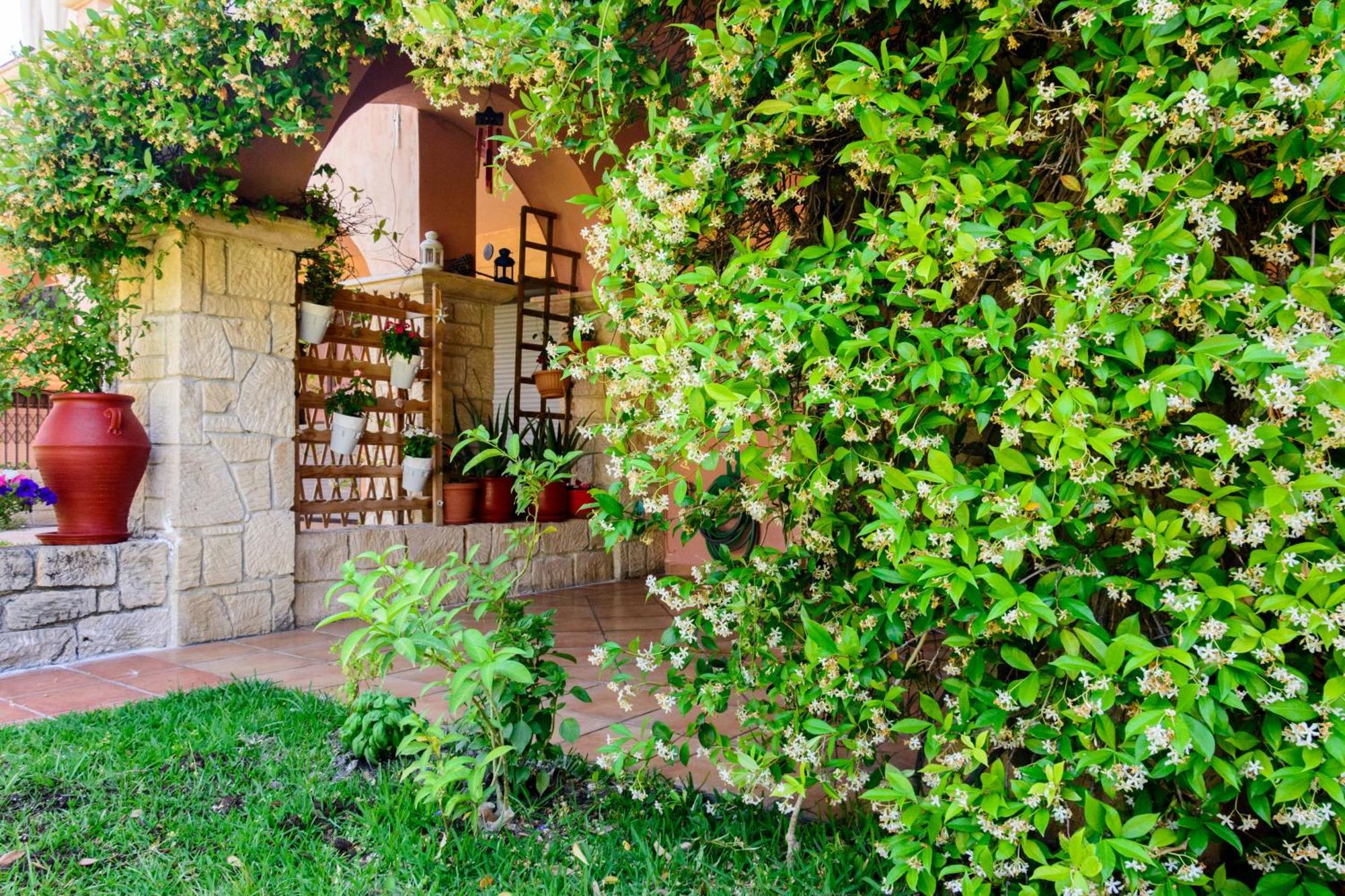 פפקוהורי La Luna House מראה חיצוני תמונה